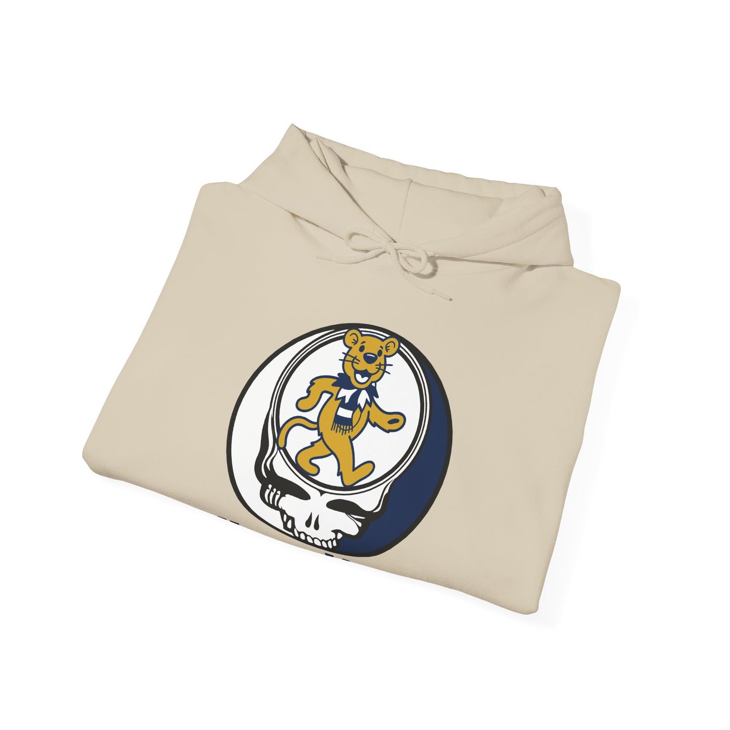 Happy Valley Stealie | University Collection Grateful Dead Unisex Heavy Blend Hoodie