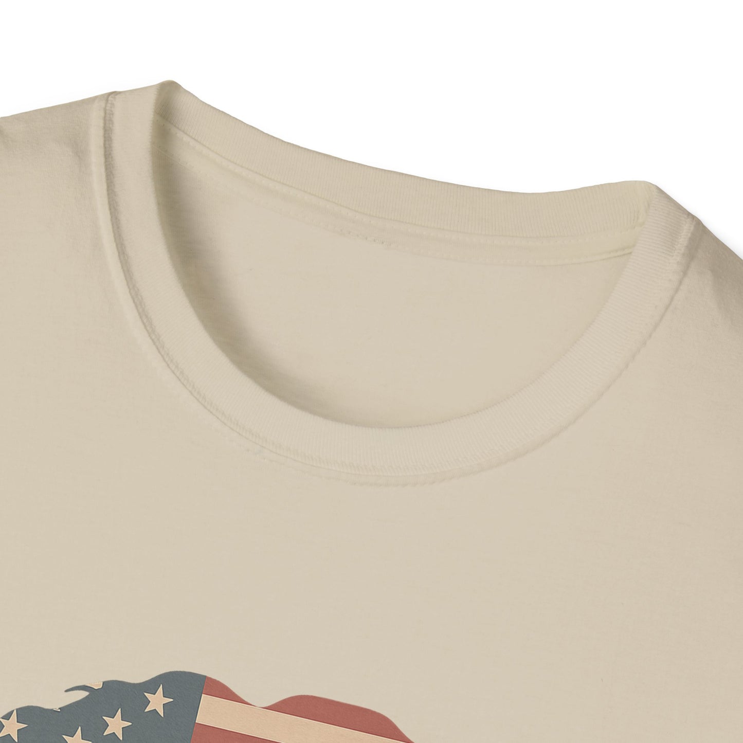 Stars & Stripes Jerry Life is dead. T-Shirt