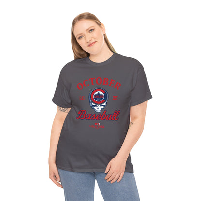 Chicago Cubs Playoffs 2025 Stealie Grateful Dead Tshirt