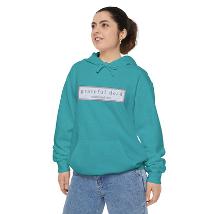The Bolt Vineyard Collection Unisex Garment-Dyed Hoodie
